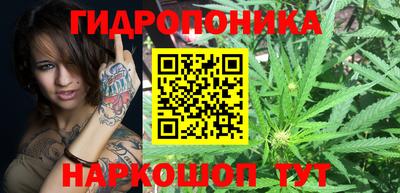 сатива Кунгур