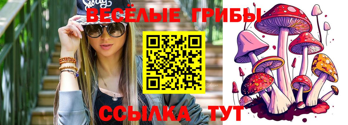 Галлюциногенные грибы GOLDEN TEACHER Елец