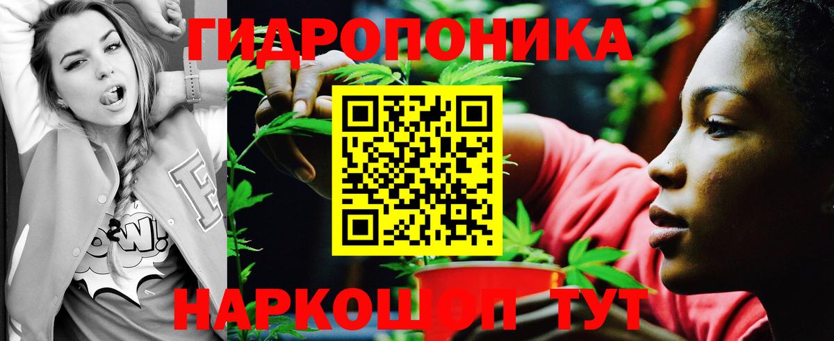 Марихуана SATIVA & INDICA Елец